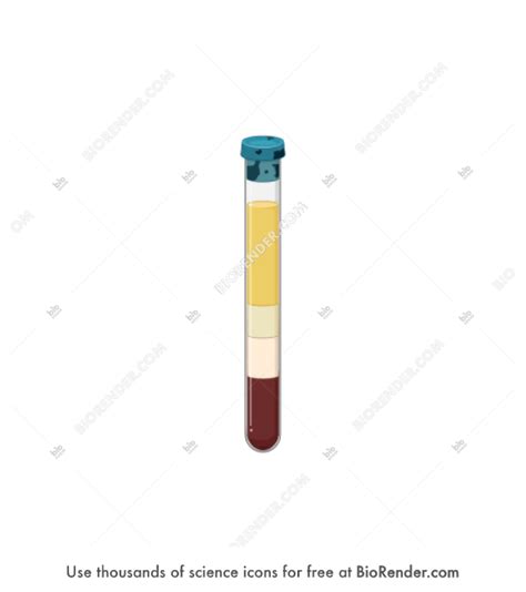 Free Cpt Tube With Cap Blood After Centrifugation Icons Symbols