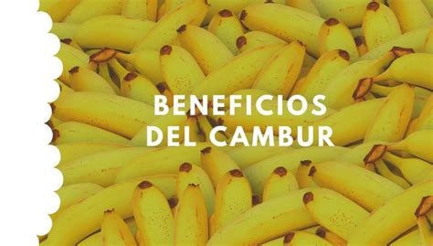 Beneficios De Comer Cambur Diariamente Notiboom Noticias Al Momento