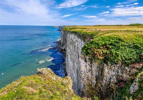 RSPB Bempton Cliffs - Puffins and Other Sea Birds | BaldHiker