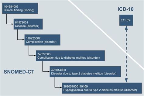 Snomed And Icd Aligning To Standards J Interactive