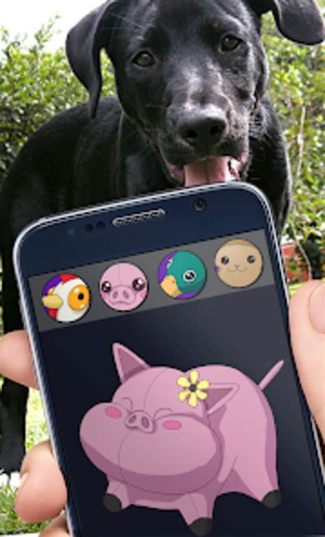 Dog Toy Squeaker Soundboard for Android - Download