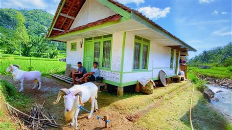 DIJAMIN BETAH MENIKMATI HIDUP DI KAMPUNG YANG INDAH ALAM DESANYA