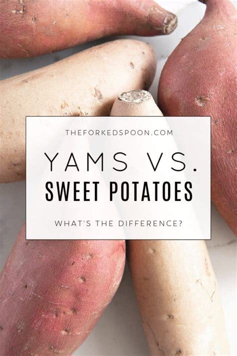 Yams vs. Sweet Potatoes: What's the Difference? - The Forked Spoon