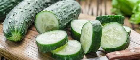 Best Fertilizer For Cucumbers The Scientific Gardener