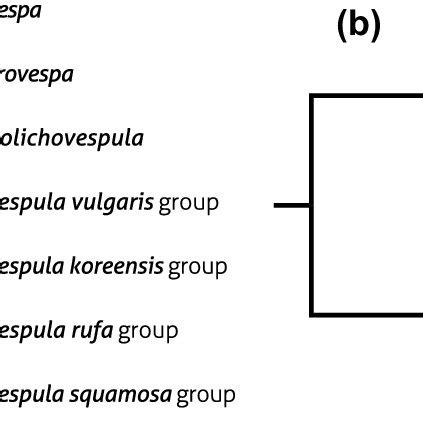 Previous hypotheses of generic and species-group relationships within... | Download Scientific ...