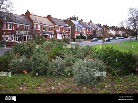 Hilly Fields Park In Ladywellbrockley London England Britain Stock