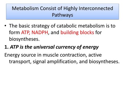 Ppt Integration Of Metabolism Powerpoint Presentation Free Download