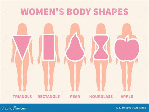 Woman Body Shapes Triangle Rectangle Apple Pear And Hourglass Stock Vector Illustration Of