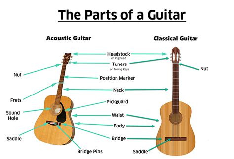 Guitar Anatomy Parts Of A Guitar Lesson 2 Real Guitar Lessons By Tomas Michaud