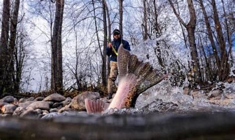 Anchored Podcast Ep 57 Dylan Tomine On Wild Steelhead