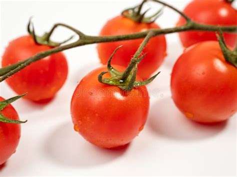 Bunch Of Fresh Red Tomatoes With Green Stems Isolated On White