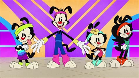 Bottoms Up Animaniacs Animaniacs Funny Animaniacs Characters