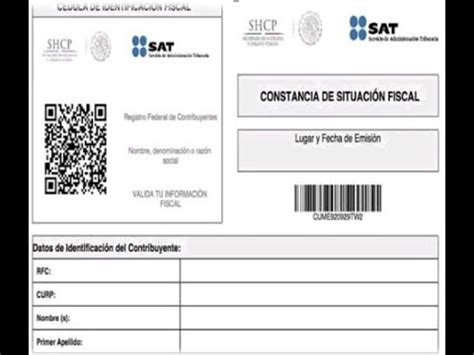 Que Es Cif Para El Sat Mexinea Blog