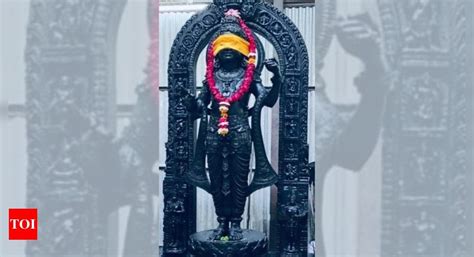 In First Look Of Ram Lallas Idol Inside Ayodhya Temple Revealed