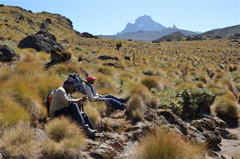 Mt.Kenya National Park – Gaga Tours