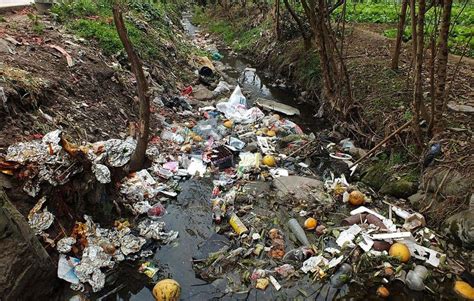 Causas De La Contaminación Del Agua