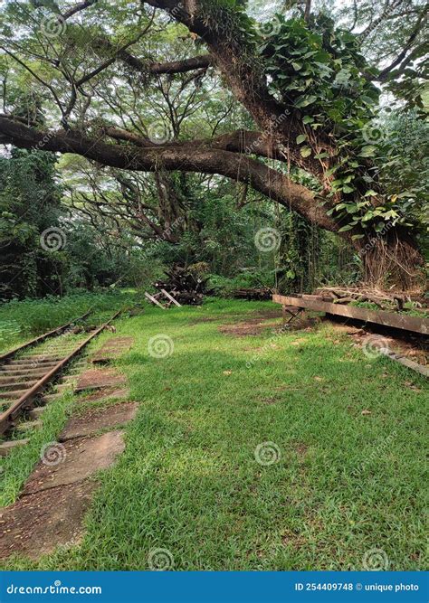 Eranakulam Old Railway Station Stock Photo - Image of india, railway