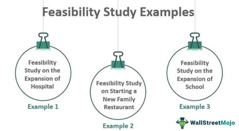 Feasibility Study Examples Top 3 Business Examples