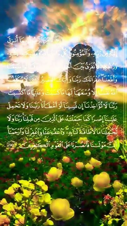 Surah Al Baqarah Ayat 285 286albaqarah Last2ayat Shorts Youtube