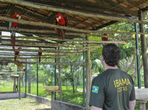 Servidores Do Meio Ambiente Decidem Entrar Em Greve No Dia 24