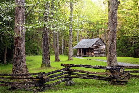 Spring Photograph Great Smoky Mountains Tn Cades Cove Springtime By