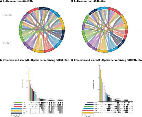 Single Cell Dissection Of The Immune Response After Acute Myocardial