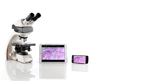 Dm Binocular Fluorescence Capable Microscope For Postdocs In The