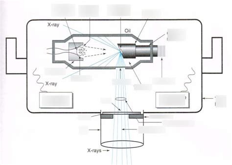 Dental X Ray Tube Diagram Quizlet