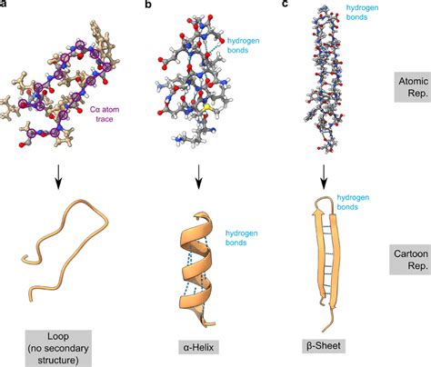 The Cartoon Representation Simplifies A Proteins Structure A Top