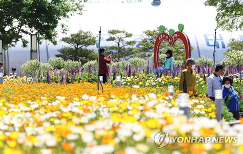 봄꽃 가득 핀 함평 나비축제 연합뉴스