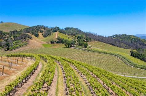 Santa Rosa Vineyard Wineries Vineyards For Sale