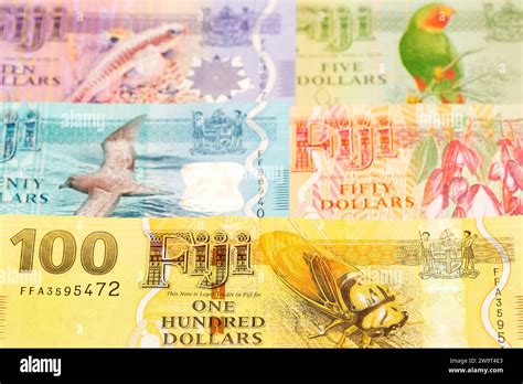 Fijian money - dollar a business background Stock Photo - Alamy