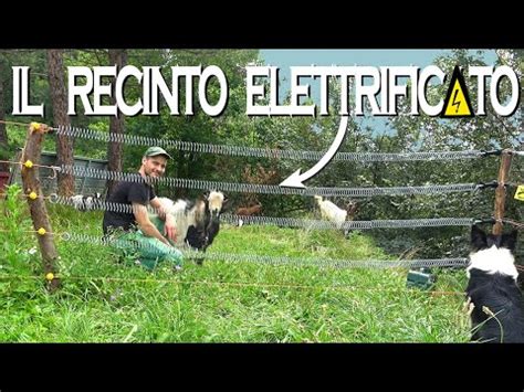 Recinto Elettrificato Funzionamento E Componenti Necessari YouTube