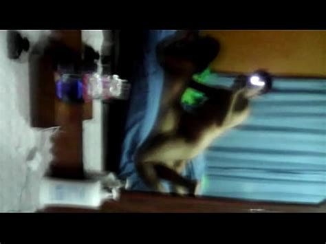 2016 07 06 00 05 00 XVIDEOS