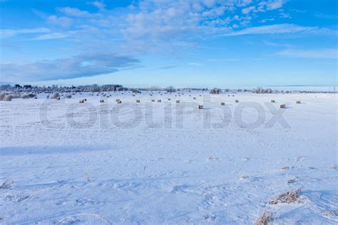 Winter farmland scenery | Stock image | Colourbox