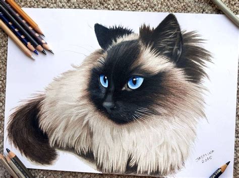 Realistic Drawings Of Animals In Color