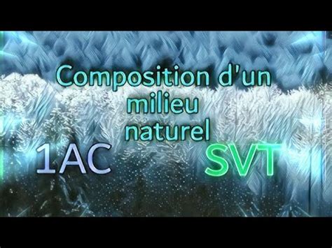 Composition D Un Milieu Naturel Ac Svt Youtube