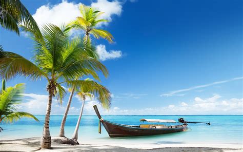 Fonds D Cran Des Palmiers Des Bateaux La Mer Tropicale Plage De