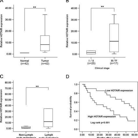 Relative Hotair Expression Levels In Nsclc Tissues And Its Clinical