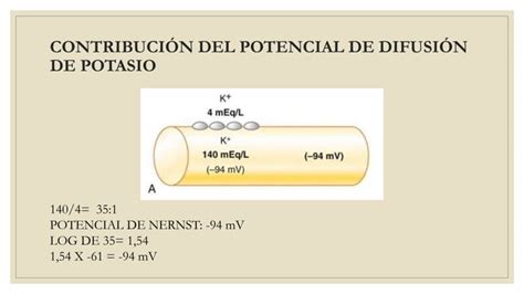 Potenciales De Membrana Y Potenciales De Pptx