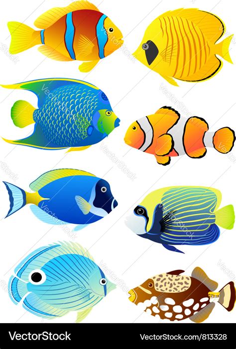 Set Of Tropical Fish Royalty Free Vector Image