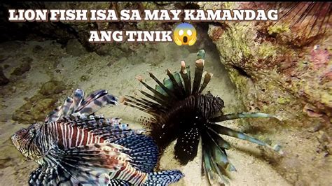 Night Spearfishingep May Huli Pa Din Kahit Madalang Ang Labas Ng