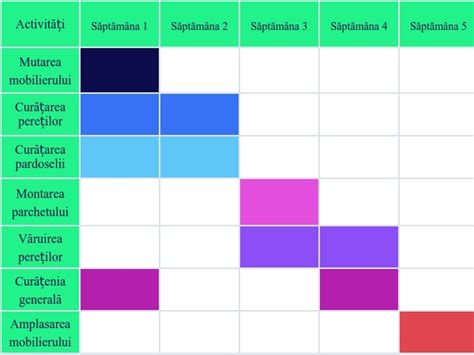 G In Matur Serviet Cum Se Realizeaza Diagrama Gant Sada Avans Dureros