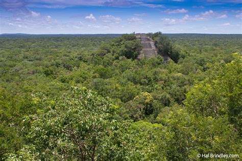 Mayan Pyramid Jungle