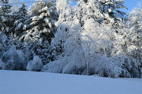 Free stock photo of New Hampshire Winter