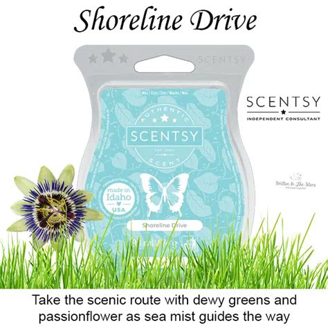 Shoreline Drive Scentsy Bar Scentsy Warming Candles