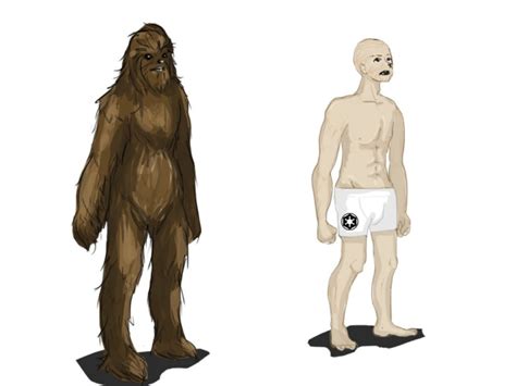 HOW TO MAKE A HAIRLESS WOOKIEE: IDENTIFICATION AND FUNCTION OF DE NOVO ...