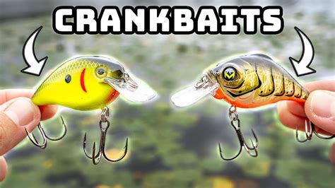 Fishing Crankbaits Is Easy With These Tips Fall Bass Fishing Youtube