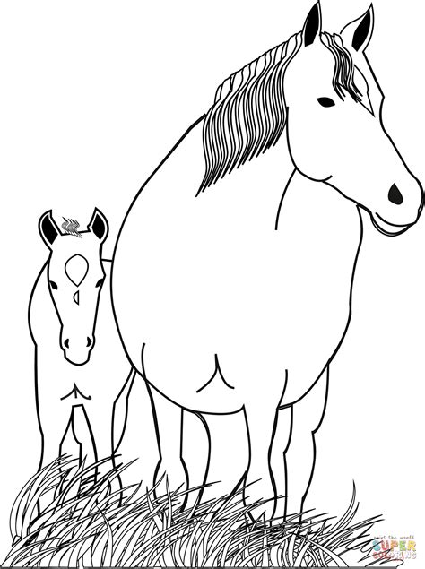 Horse Mare and Foal coloring page | Free Printable Coloring Pages