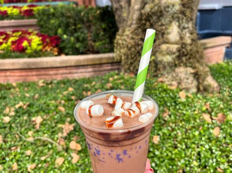 The Frozen Salted Caramel Hot Cocoa Is A Dream At Disneys Hollywood